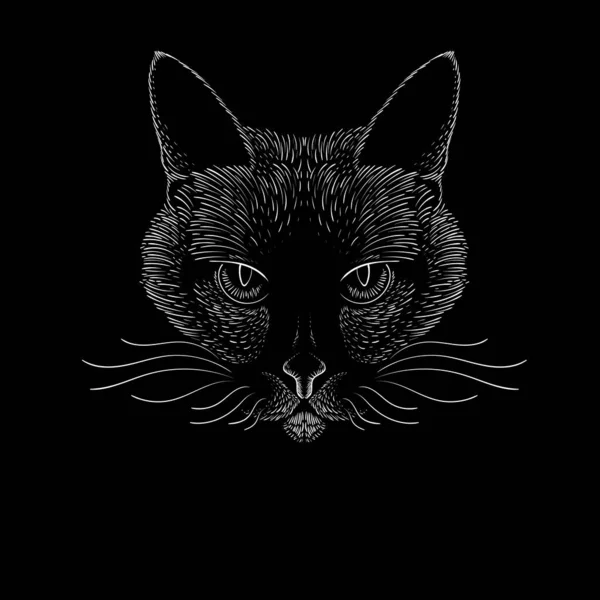 Imagem Vetorial Cabeça Gato Para Tatuagem Design Camiseta Linhas Gráficas — Vetor de Stock