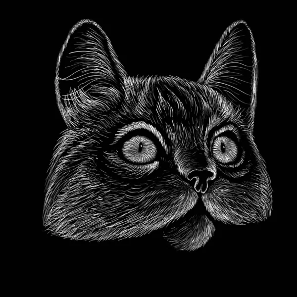 Imagem Vetorial Cabeça Gato Para Tatuagem Design Camiseta Linhas Gráficas —  Vetores de Stock