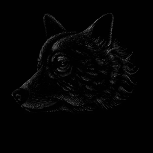 Imagem Vetorial Cabeça Lobo Para Tatuagem Design Camiseta Linhas Brancas — Vetor de Stock