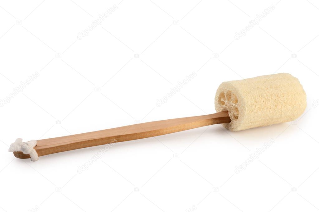 Luffa sponge natural fiber for body scrubbing isolated on white background, clipping path.