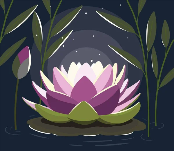 Brillo flor de loto en la ilustración vectorial noche — Archivo Imágenes Vectoriales