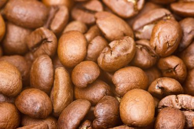 Kavrulmuş kahve çekirdekleri, yakın plan. Arkaplan.