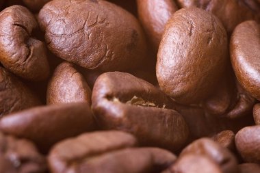 Kavrulmuş kahve çekirdekleri, yakın plan. Arkaplan.