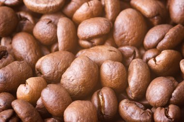 Kavrulmuş kahve çekirdekleri, yakın çekim. Bulanık backgroun ile arka plan