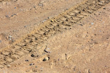 Kumda lastik izleri var..