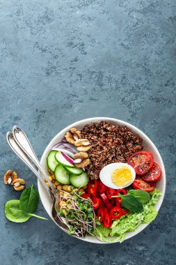 Biber, domates, salatalık, nohut, chia, Brüksel lahanası, savoy ve fındık Buda kase yemek sağlıklı salata. Sağlıklı yeme eğilimi, superfood. Üstten Görünüm
