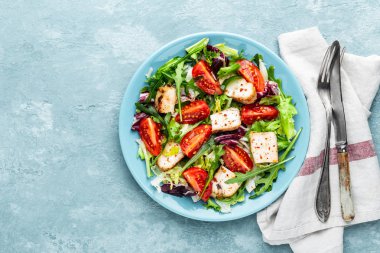 taze sebze ile tavuk göğsü salatası üst görünüm ve bir metin için alan