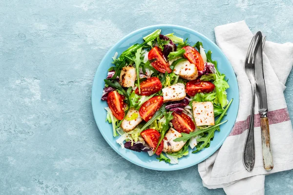 taze sebze ile tavuk göğsü salatası üst görünüm ve bir metin için alan