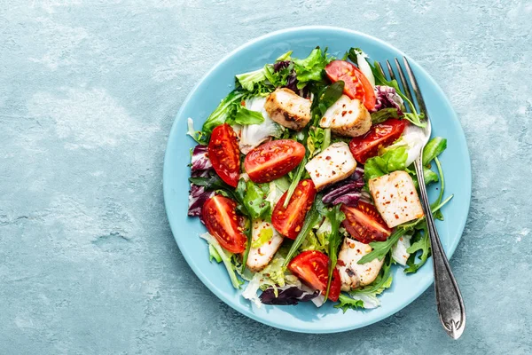 taze sebze ile tavuk göğsü salatası üst görünüm ve bir metin için alan