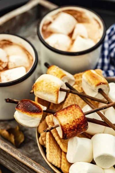 Duas Xícaras Cacau Chocolate Quente Espetos Marshmallows Assados Sobre Fogueira — Fotografia de Stock