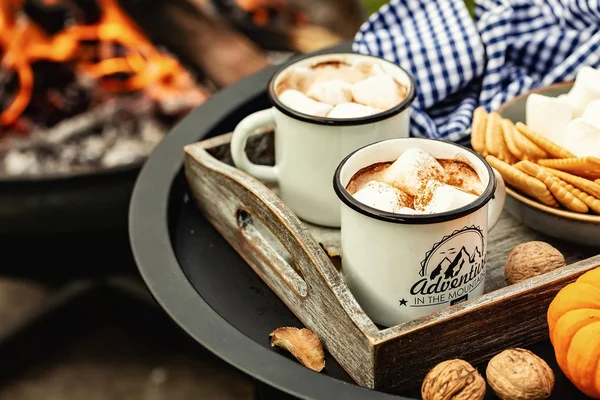 Kakao Veya Sıcak Çikolata Kamp Ateşi Üzerinde Kavrulmuş Marshmallow Şiş — Stok fotoğraf