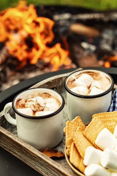 Duas Xícaras Cacau Chocolate Quente Espetos Marshmallows Assados Sobre Fogueira — Fotografia de Stock