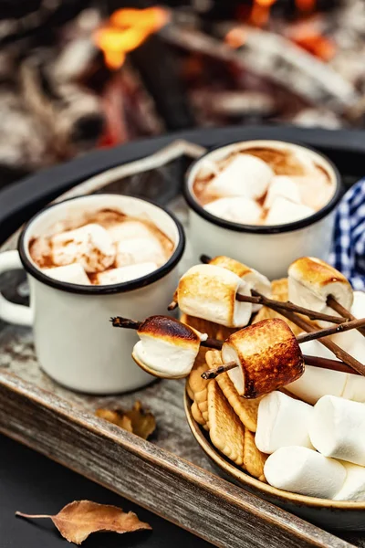 两杯可可或热巧克力和烤棉花糖在篝火上串 秋季假期户外款待 — 图库照片