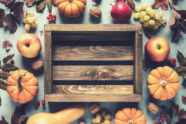 Herbst Hintergrund Von Herbstblättern Und Kürbissen Und Sorte Ernte Früchte — Stockfoto