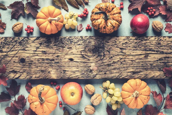 秋天背景的秋叶和南瓜和品种收获水果和空白空间为文本 可用于感恩节或万圣节或其他秋季假期 — 图库照片