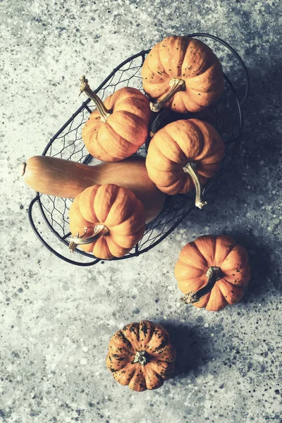 Herbst Kürbisernte Korb Von Oben — Stockfoto