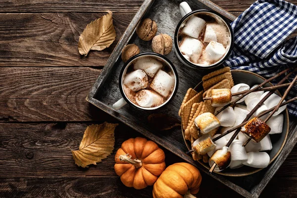 Horká Čokoláda Nebo Kakaový Nápoj Marshmallows Hrncích Jiných Sladkostech Podávaných — Stock fotografie