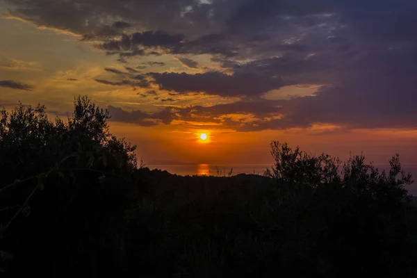 Wunderschöner Sonnenuntergang Mit Baumsilhouette Auf Korfu Griechenland — Stockfoto