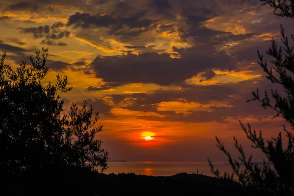 Гарний Захід Сонця Силует Дерева Корфу Греція — стокове фото