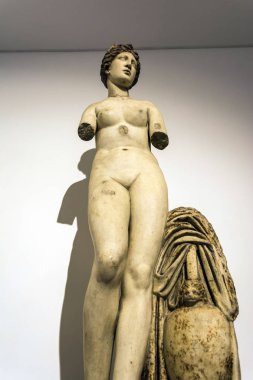 Rome, İtalya - 1 Eylül 2017: Afrodit heykelinin Diocletianus (Thermae Diocletiani) Roma hamamları. İtalya
