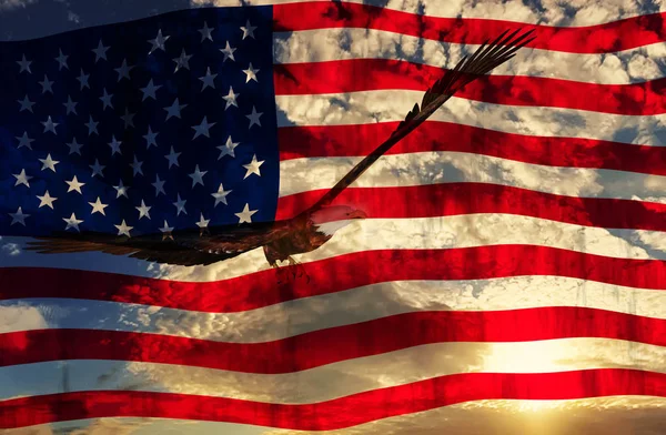Illustration of an eagle with american flag background - 3D rendering