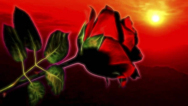Vörös Rózsa Virág Drámai Romantikus Naplemente Égen Illusztráció Alkalmas Valentin — Stock Fotó
