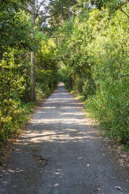 Mon repos park, corfu town, Yunanistan