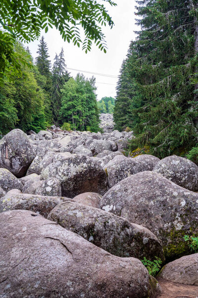 Каменная река Золотые мосты на горе Витоша близ Софии, Болгария, с массивными валунами, протянувшимися через густой зеленый лес.