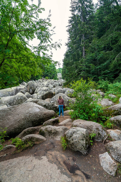 Каменная река Золотые мосты на горе Витоша близ Софии, Болгария, с массивными валунами, протянувшимися через густой зеленый лес.