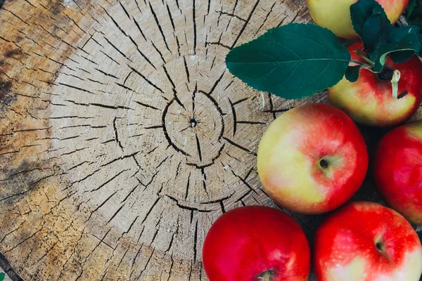 木树桩上有树叶的苹果 秋季背景下 苹果采摘理念 顶部视图 秋天收获 复制空间 — 图库照片