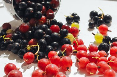 Beyaz arka plan üzerinde dağınık çilek. Yaz hasat kavramı. Dağınık Bektaşi üzümü, siyah frenk üzümü, Ağustos, çiğ gıda diyet, meyve bahçesi