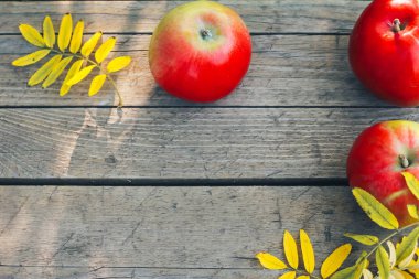 Taze elma ve sonbaharda yapraklar üzerinde ahşap plakalar. Sonbahar arka plan, elma malzeme çekme kavramı. Sonbahar hasat, sarı yapraklar, üstten görünüm