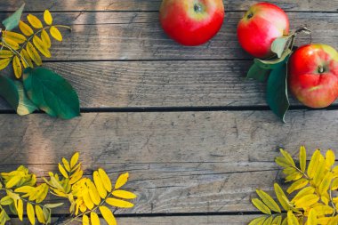 Elma ve ahşap plakalar üzerinde sarı yapraklar. Sonbahar arka plan, elma malzeme çekme kavramı. Sonbahar hasat, sonbahar yaprakları, üstten görünüm