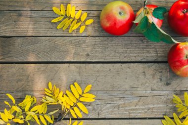Elma ve sonbaharda yapraklar üzerinde ahşap plakalar. Sonbahar arka plan, elma malzeme çekme kavramı. Sonbahar hasat, sarı yapraklar, üstten görünüm