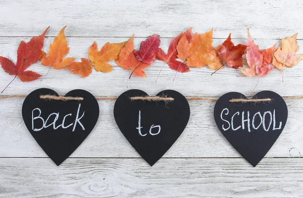 Back School Text Heart Shaped Blackboard Pieces Fall Leaves White — Stock Photo, Image