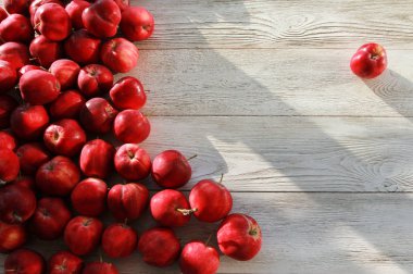 Beyaz tahta tahta veya masa üzerinde kırmızı elma. Arka plan, kopyalama alanı, üst görünüm. Sonbahar, sonbahar, hasat, elma toplama konsepti