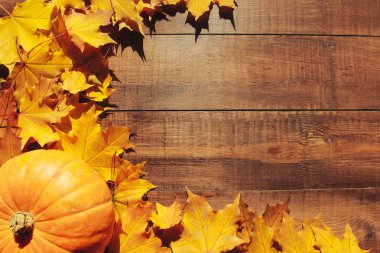 Turuncu kabak, koyu ahşap masa üzerinde sarı akçaağaç yaprakları. Sonbahar arka plan konsepti. Eylül, Ekim, Kasım, Şükran Günü, Cadılar Bayramı