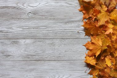 Sonbahar arka plan bırakır. Hoş geldiniz Sonbahar konsepti. Beyaz ahşap masa üzerinde sarı akçaağaç yaprakları. Eylül, Ekim, Kasım, Şükran