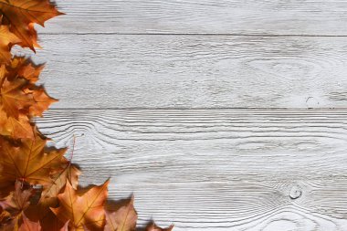 Sonbahar arka plan bırakır. Hoş geldiniz Sonbahar konsepti. Beyaz ahşap masa üzerinde sarı akçaağaç yaprakları. Eylül, Ekim, Kasım, Şükran