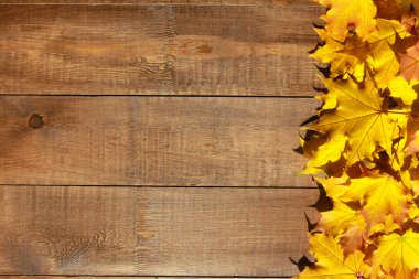 Sonbahar arka plan bırakır. Hoş geldiniz Sonbahar konsepti. Kahverengi ahşap masa üzerinde sarı akçaağaç yaprakları. Eylül, Ekim, Kasım, şükran günü, sınır, çerçeve