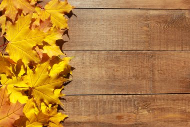 Sonbahar arka plan bırakır. Hoş geldiniz Sonbahar konsepti. Kahverengi ahşap masa üzerinde sarı akçaağaç yaprakları. Eylül, Ekim, Kasım, şükran günü, sınır, çerçeve
