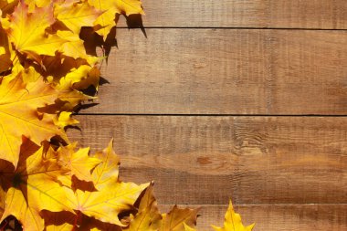 Sonbahar arka plan bırakır. Hoş geldiniz Sonbahar konsepti. Kahverengi ahşap masa üzerinde sarı akçaağaç yaprakları. Eylül, Ekim, Kasım, şükran günü, sınır, çerçeve