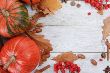 Turuncu balkabakları, sarı meşe yaprakları, meşe palamutları, beyaz ahşap masada kırmızı böğürtlenler. Hoşgeldiniz sonbahar, hasat festivali, Cadılar Bayramı, Şükran Günü konsepti. Üst görünüm, boşluk kopyala, sınır