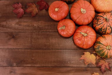Koyu kahverengi ahşap masada turuncu balkabakları ve kuru akçaağaç yaprakları. Hoşgeldiniz sonbahar, hasat festivali, Cadılar Bayramı, Şükran Günü konsepti. Üst görünüm, alanı kopyala