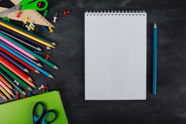 Mavi kalemli beyaz defter sayfası, metin için kopyalama alanı. Yeşil defter, makas, raptiye, tahta zemin üzerinde cetvel. Üst manzara, düz yatış. Okul malzemeleri ya da ofis kırtasiyesi konsepti