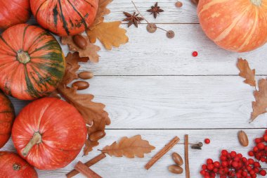 Turuncu balkabakları, sonbahar yaprakları, meşe palamutları, baharatlar, beyaz ahşap masada kırmızı böğürtlenler. Hoşgeldiniz sonbahar, hasat festivali, Cadılar Bayramı, Şükran Günü konsepti. Üst görünüm, kopyalama alanı, düz uzanma