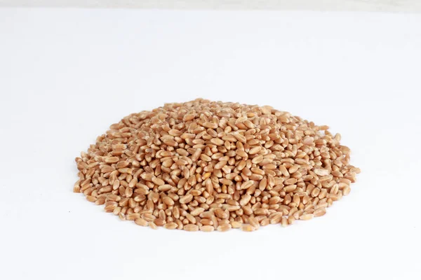 Куча Зерна Пшеницы Изолированы Белом Фоне Круглая Куча Семян Высокий — стоковое фото