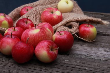 Çuval bezli taze elmalar kaba ahşap masa. Yakından bak. Doğal organik gıda, tarım, bahçıvanlık, hasat mevsimi konsepti