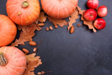 Turuncu balkabakları, olgun kırmızı elmalar, kuru meşe yaprakları, koyu gri arka planda meşe palamutları. Üst görünüm, boşluğu kopyala. Yiyecek, sonbahar, tatil, şükran günü, hasat konsepti. 