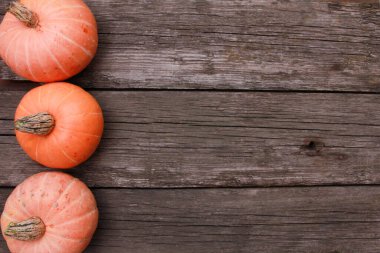 Turuncu balkabakları kaba ahşap masa zemininde sıra sıra diziliyor. Üst görünüm, boşluğu kopyala. Yemek, tatil, Şükran Günü, hasat mevsimi konsepti. 